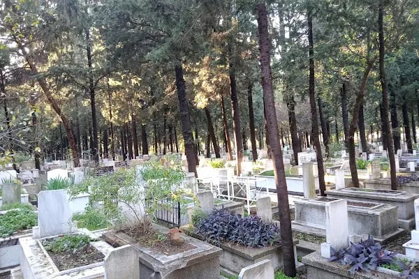 Soğukkuyu Mezarlığı - Resim 3