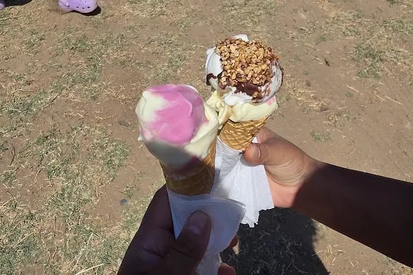 Büyük Küçübük Kamp ve Piknik Alanı - Resim 11