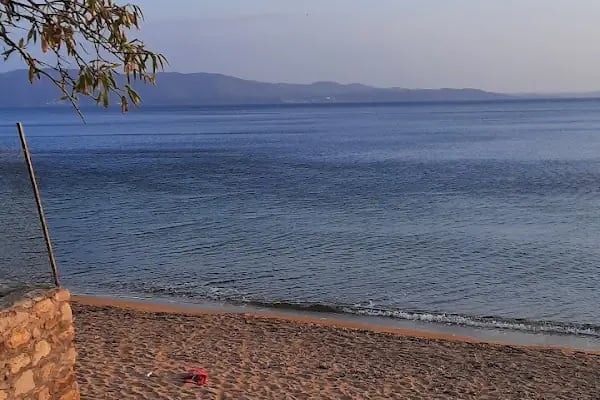 Büyük Küçübük Kamp ve Piknik Alanı - Resim 14