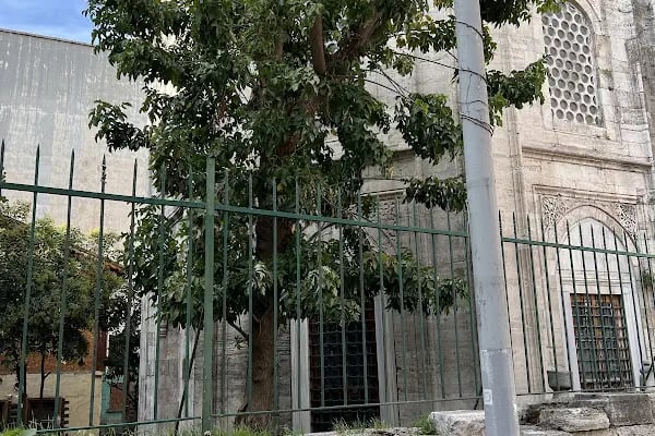 Keserci Baba Türbesi - Resim 5