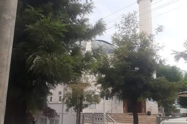 Nezahat Tokuş Cami - Resim 4