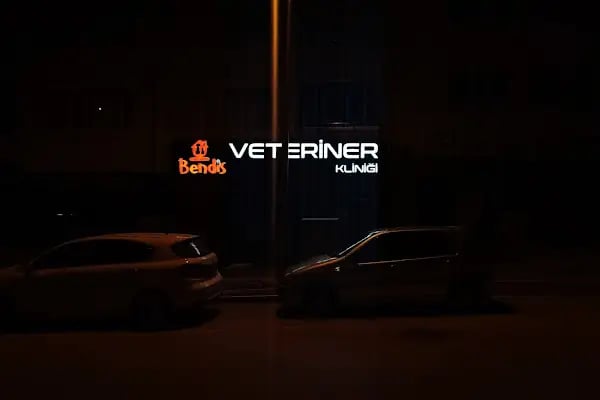 Bendis Veteriner Kliniği - Resim 10