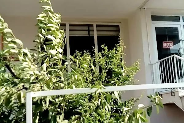 CATS n DOGS VETERİNER KLİNİĞİ - Resim 12