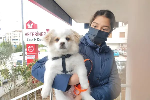 CATS n DOGS VETERİNER KLİNİĞİ - Resim 2