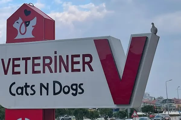 CATS n DOGS VETERİNER KLİNİĞİ - Resim 1