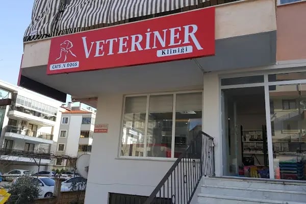 CATS n DOGS VETERİNER KLİNİĞİ - Resim 6