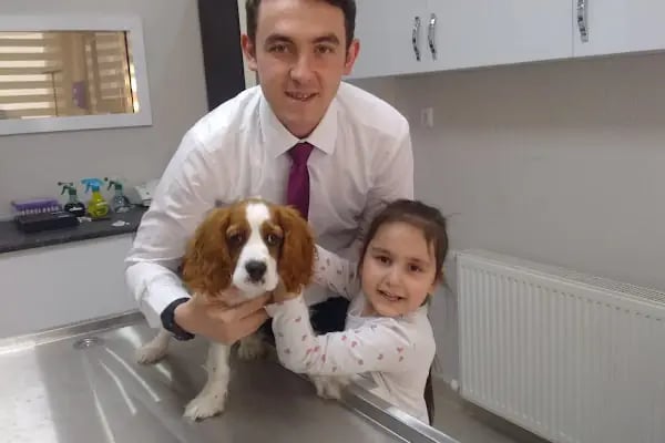 CATS n DOGS VETERİNER KLİNİĞİ - Resim 20