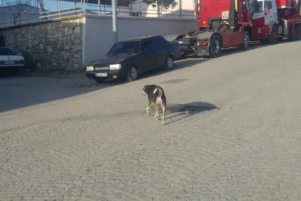 Lider Granit Küptaş , Bergama Granit - Resim 6