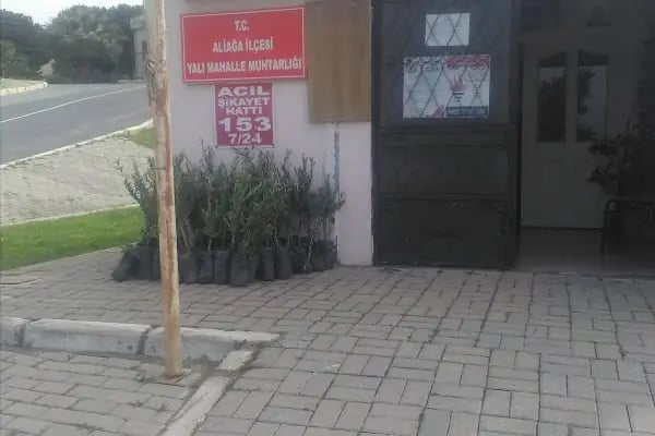 Yalı Mahallesi - Resim 2