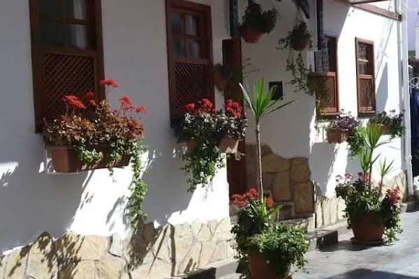 Terra Pansiyon &amp; Cafe - Resim 6