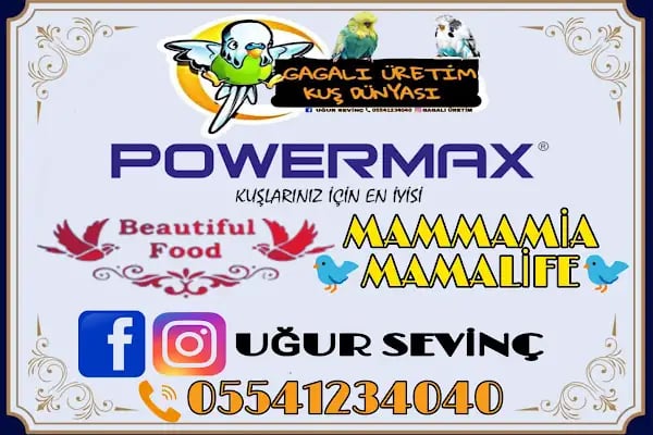 Mega Akvaryum &amp; Pet Shop - Resim 16