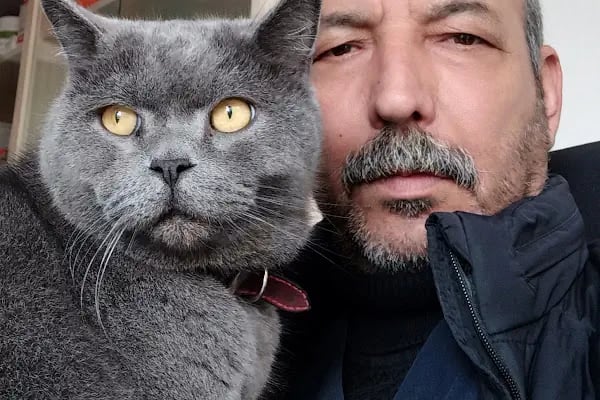 Güney Veteriner Kliniği - Resim 2