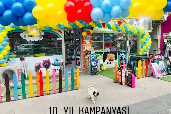 Gökkuşağı Petshop Çerkezköy - Resim 20