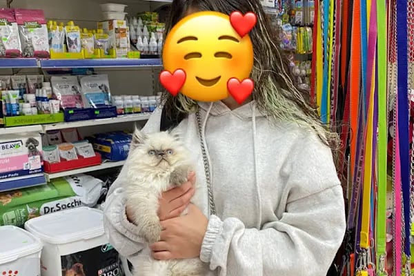 Gökkuşağı Petshop Çerkezköy - Resim 10
