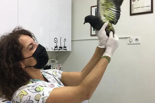 Ataşehir Botanik Veteriner Kliniği - Resim 4