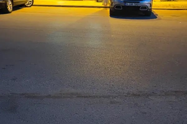 Ataşehir Botanik Veteriner Kliniği - Resim 17