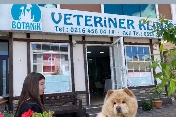 Ataşehir Botanik Veteriner Kliniği - Resim 8