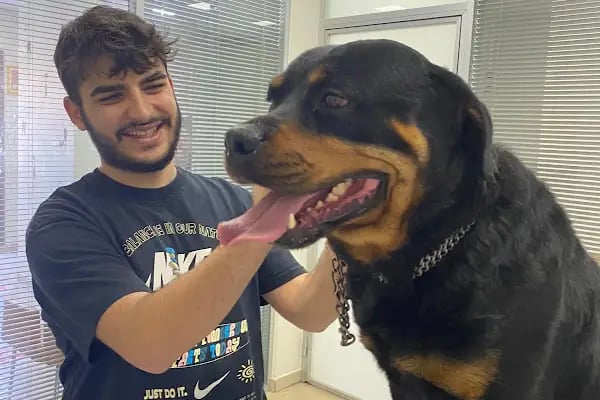 Ataşehir Botanik Veteriner Kliniği - Resim 11