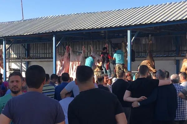 Sabri BORA Besicilik - Resim 15