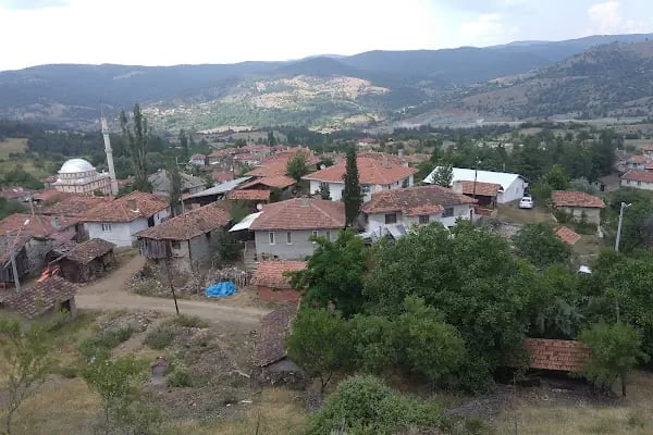 Harmancık Belediyesi - Resim 7