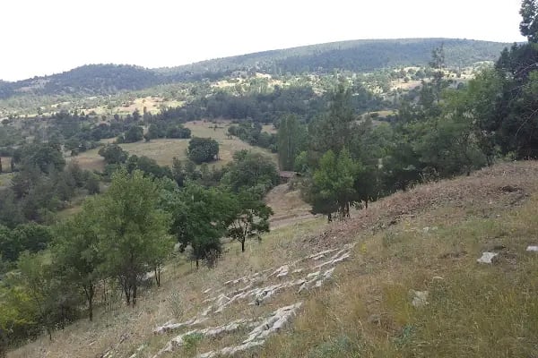 Harmancık Belediyesi - Resim 12