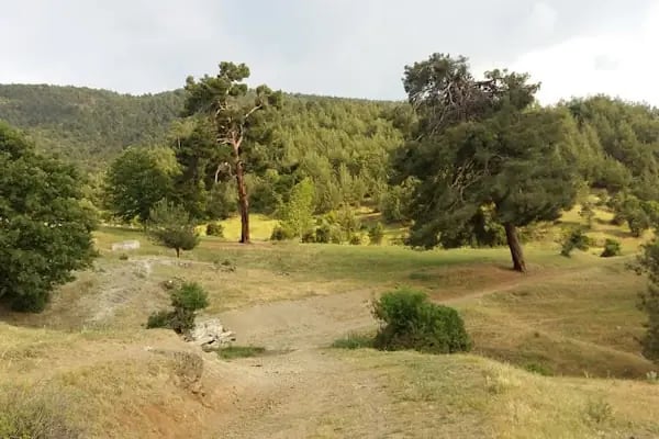 Harmancık Belediyesi - Resim 5