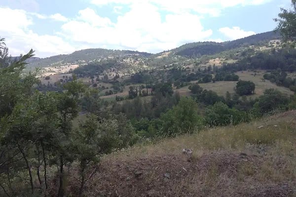 Harmancık Belediyesi - Resim 20
