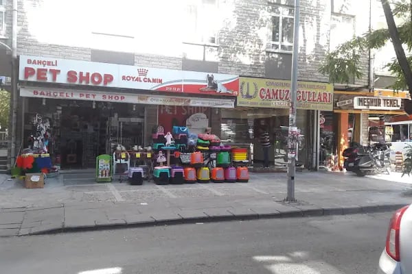 Bahçeli Pet Shop - Resim 7