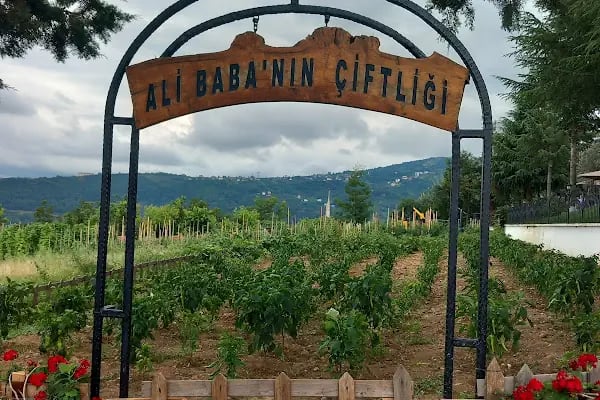 Seyrantepe Bahçe - Resim 20