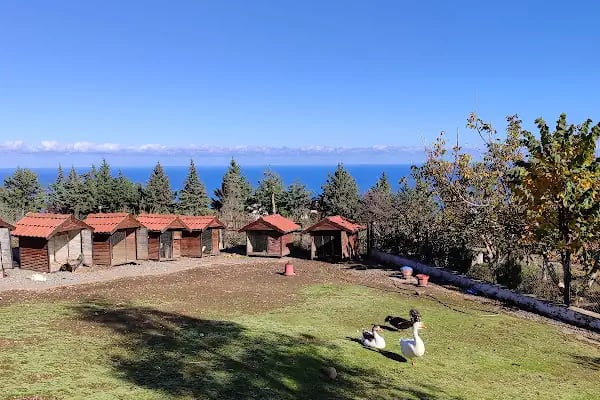 Seyrantepe Bahçe - Resim 14