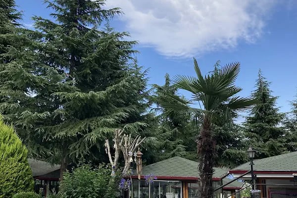 Seyrantepe Bahçe - Resim 18