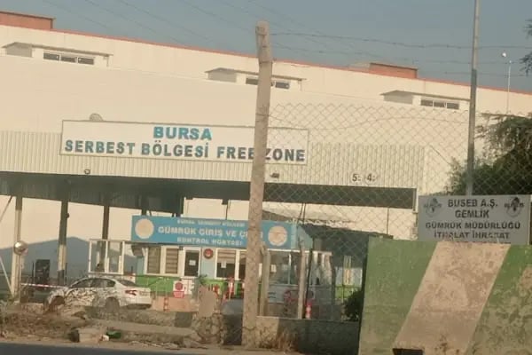 Bursa Serbest Bölge Ata Mahallesi - Resim 3