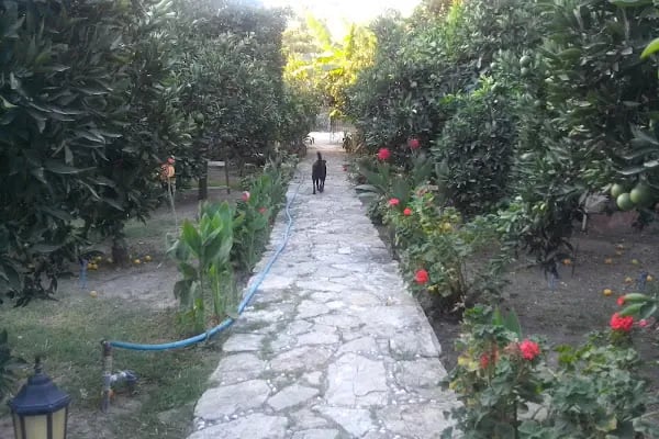 Portakalya Pansiyon - Resim 15