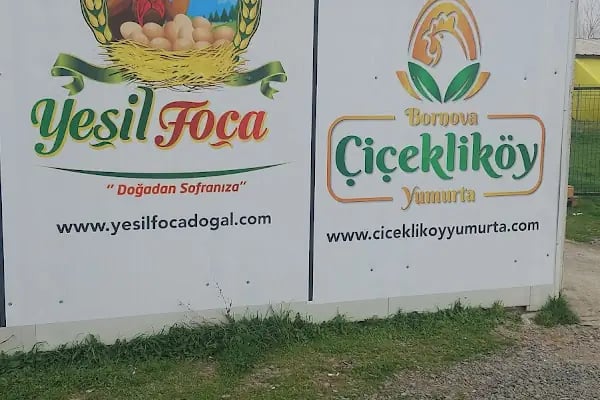 Beltansa Alışveriş - Resim 5
