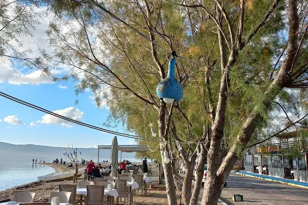 Özbek Akkum Plajı - Resim 15