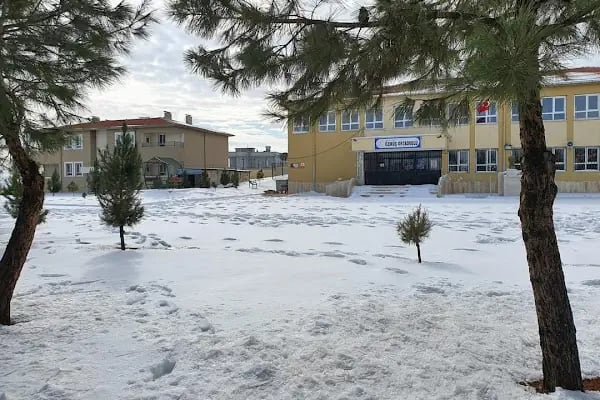 Özmüş Ortaokulu - Resim 3