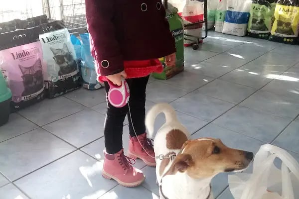 Tuğra Petshop Akvaryum - Resim 7