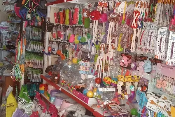 Vatos's Akvaryum Petshop - Resim 5