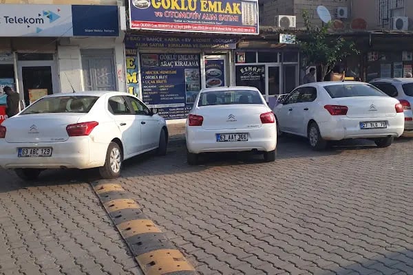 GÖKLÜ RENT A CAR - Resim 12