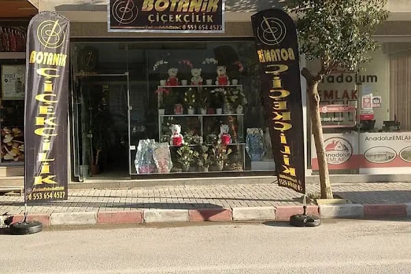 BOTANİK ÇİÇEKÇİLİK - Resim 2