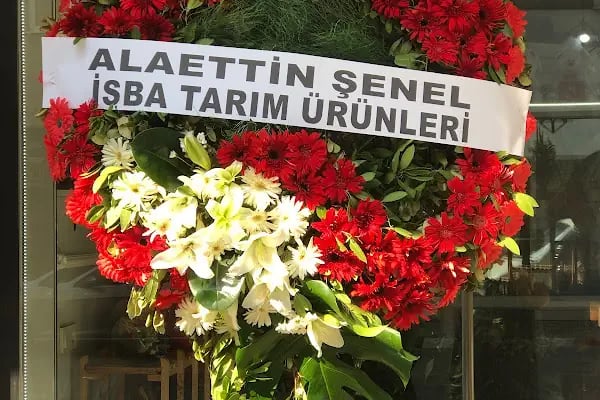 BOTANİK ÇİÇEKÇİLİK - Resim 20