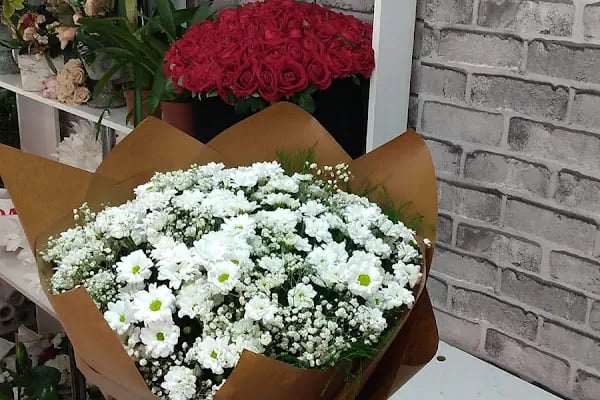 BOTANİK ÇİÇEKÇİLİK - Resim 1