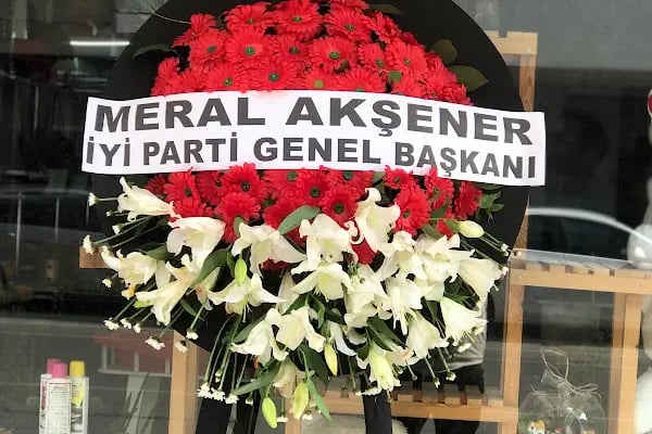BOTANİK ÇİÇEKÇİLİK - Resim 11