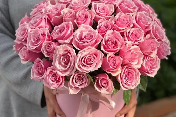 Alanya Çiçek Armağan Flowers Цветы - Resim 14