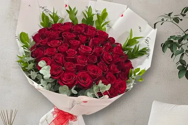 Alanya Çiçek Armağan Flowers Цветы - Resim 12