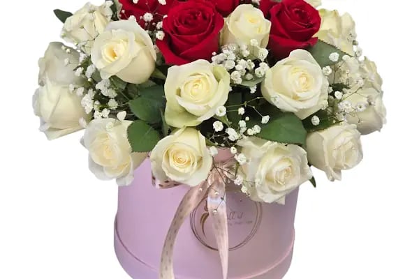 Alanya Çiçek Armağan Flowers Цветы - Resim 16