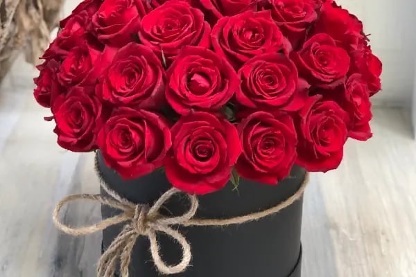 Alanya Çiçek Armağan Flowers Цветы - Resim 19