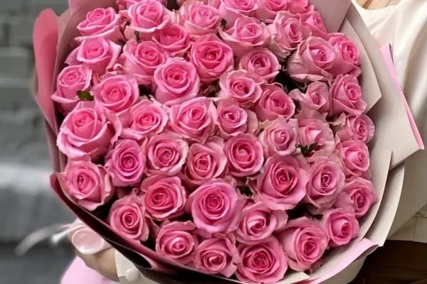 Alanya Çiçek Armağan Flowers Цветы - Resim 11