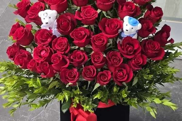 Alanya Çiçek Armağan Flowers Цветы - Resim 7