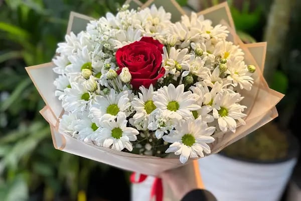 Alanya Çiçek Armağan Flowers Цветы - Resim 9